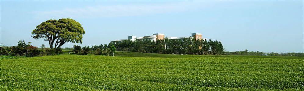 济州航空酒店 西归浦市 外观 照片